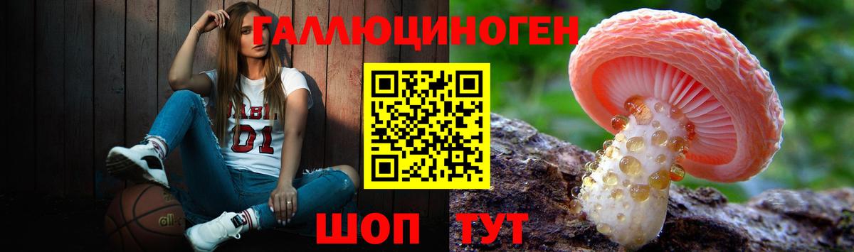 Галлюциногенные грибы Psilocybine cubensis Майский